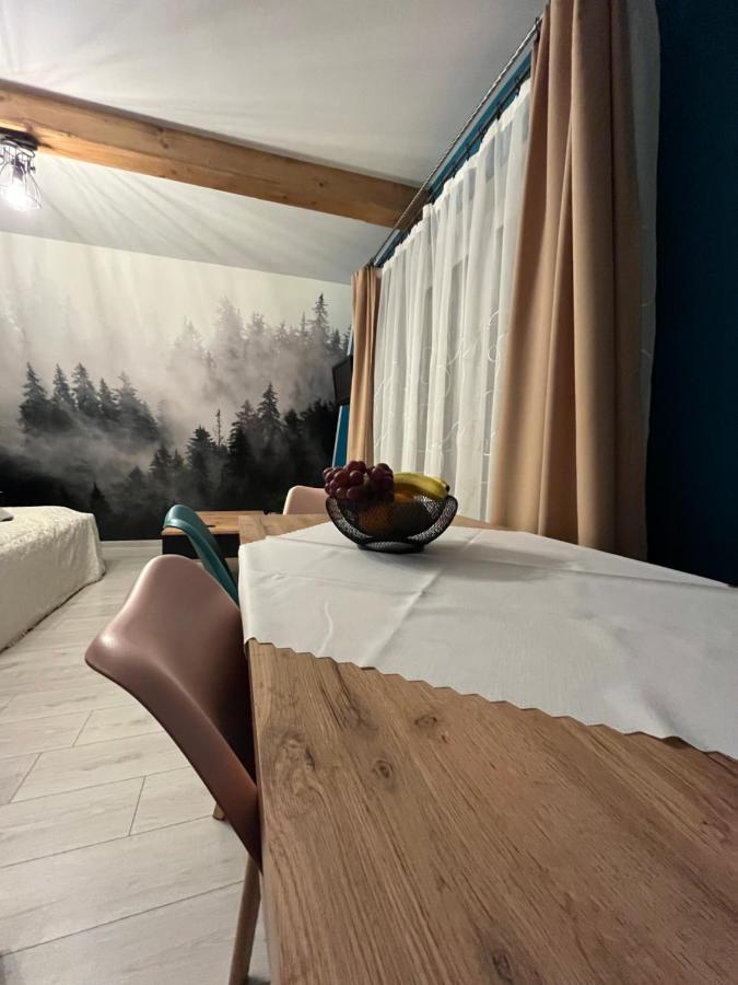 Ferienwohnung U Babci Na Strychu Zakopane Exterior foto